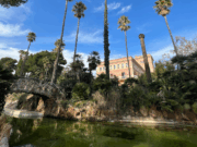 El llac del Parc del Palau de Marianao recupera la seva esplendor