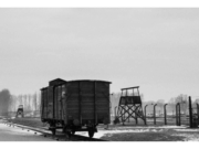 commemoració del Dia Internacional en Memòria de les Víctimes de l’Holocaust
