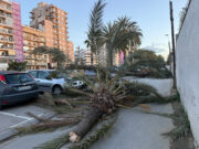 Almenys cinc ferits per les ventades, entre ells un de greu per la caiguda d’un arbre a Sant Boi