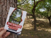 Nova normativa contra incendis als boscos de Sant Boi
