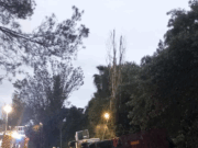 VÍDEO | Camió bolcat a Esparreguera: vessament de combustible i caos a la B-231