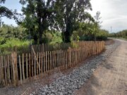 Millora del drenatge i renaturalització al camí del riu Llobregat
