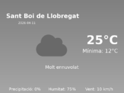 El temps a Sant Boi de Llobregat avui, 11 de Abril de 2026