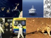 L’Institut Coordenades demana reforçar la gestió de la crisi del creuer MV Hondius