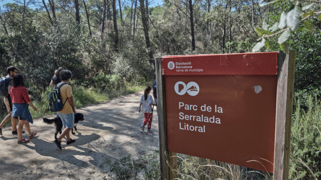 noticia_1782220626.jpg