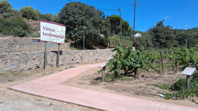 noticia_1789565202.jpg